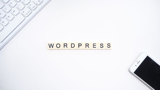 DIVI WordPress
