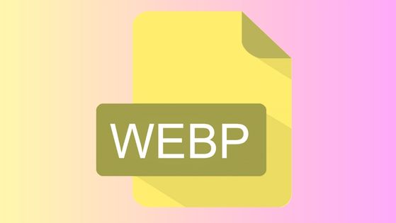 What is a WebP file format